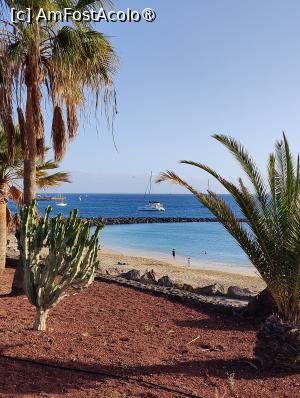 [P67] La pas prin Playa Blanca » foto by crismis
 - 
<span class="allrVoted glyphicon glyphicon-heart hidden" id="av1484697"></span>
<a class="m-l-10 hidden" id="sv1484697" onclick="voting_Foto_DelVot(,1484697,1154)" role="button">șterge vot <span class="glyphicon glyphicon-remove"></span></a>
<a id="v91484697" class=" c-red"  onclick="voting_Foto_SetVot(1484697)" role="button"><span class="glyphicon glyphicon-heart-empty"></span> <b>LIKE</b> = Votează poza</a> <img class="hidden"  id="f1484697W9" src="/imagini/loader.gif" border="0" /><span class="AjErrMes hidden" id="e1484697ErM"></span>