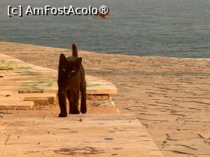 [P53] Nafplio » foto by Mika
 - 
<span class="allrVoted glyphicon glyphicon-heart hidden" id="av1542026"></span>
<a class="m-l-10 hidden" id="sv1542026" onclick="voting_Foto_DelVot(,1542026,1167)" role="button">șterge vot <span class="glyphicon glyphicon-remove"></span></a>
<a id="v91542026" class=" c-red"  onclick="voting_Foto_SetVot(1542026)" role="button"><span class="glyphicon glyphicon-heart-empty"></span> <b>LIKE</b> = Votează poza</a> <img class="hidden"  id="f1542026W9" src="/imagini/loader.gif" border="0" /><span class="AjErrMes hidden" id="e1542026ErM"></span>