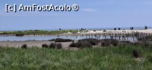 [P06] Gura Portitei - Intre delta si mare. » foto by iulianic
 - 
<span class="allrVoted glyphicon glyphicon-heart hidden" id="av1540645"></span>
<a class="m-l-10 hidden" id="sv1540645" onclick="voting_Foto_DelVot(,1540645,1172)" role="button">șterge vot <span class="glyphicon glyphicon-remove"></span></a>
<a id="v91540645" class=" c-red"  onclick="voting_Foto_SetVot(1540645)" role="button"><span class="glyphicon glyphicon-heart-empty"></span> <b>LIKE</b> = Votează poza</a> <img class="hidden"  id="f1540645W9" src="/imagini/loader.gif" border="0" /><span class="AjErrMes hidden" id="e1540645ErM"></span>