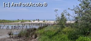 [P07] Gura Portitei - Intre delta si mare. » foto by iulianic
 - 
<span class="allrVoted glyphicon glyphicon-heart hidden" id="av1540646"></span>
<a class="m-l-10 hidden" id="sv1540646" onclick="voting_Foto_DelVot(,1540646,1172)" role="button">șterge vot <span class="glyphicon glyphicon-remove"></span></a>
<a id="v91540646" class=" c-red"  onclick="voting_Foto_SetVot(1540646)" role="button"><span class="glyphicon glyphicon-heart-empty"></span> <b>LIKE</b> = Votează poza</a> <img class="hidden"  id="f1540646W9" src="/imagini/loader.gif" border="0" /><span class="AjErrMes hidden" id="e1540646ErM"></span>