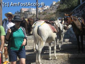 [P11] In vechiul port, se poate cobori dar mai ales urca si cu caluti sau magarusi care va asteapta cuminti 'la cotitura' » foto by dorgo
 - 
<span class="allrVoted glyphicon glyphicon-heart hidden" id="av772665"></span>
<a class="m-l-10 hidden" id="sv772665" onclick="voting_Foto_DelVot(,772665,1177)" role="button">șterge vot <span class="glyphicon glyphicon-remove"></span></a>
<a id="v9772665" class=" c-red"  onclick="voting_Foto_SetVot(772665)" role="button"><span class="glyphicon glyphicon-heart-empty"></span> <b>LIKE</b> = Votează poza</a> <img class="hidden"  id="f772665W9" src="/imagini/loader.gif" border="0" /><span class="AjErrMes hidden" id="e772665ErM"></span>