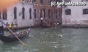 [P11] Gondolieri in actiune pe Canal Grande. Venetia, Italia.  » foto by traian.leuca †
 - 
<span class="allrVoted glyphicon glyphicon-heart hidden" id="av404850"></span>
<a class="m-l-10 hidden" id="sv404850" onclick="voting_Foto_DelVot(,404850,1229)" role="button">șterge vot <span class="glyphicon glyphicon-remove"></span></a>
<a id="v9404850" class=" c-red"  onclick="voting_Foto_SetVot(404850)" role="button"><span class="glyphicon glyphicon-heart-empty"></span> <b>LIKE</b> = Votează poza</a> <img class="hidden"  id="f404850W9" src="/imagini/loader.gif" border="0" /><span class="AjErrMes hidden" id="e404850ErM"></span>