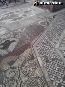 [P22] Italia - Venetia - mozaic in Basilica San Marco » foto by Diaura*
 - 
<span class="allrVoted glyphicon glyphicon-heart hidden" id="av373633"></span>
<a class="m-l-10 hidden" id="sv373633" onclick="voting_Foto_DelVot(,373633,1229)" role="button">șterge vot <span class="glyphicon glyphicon-remove"></span></a>
<a id="v9373633" class=" c-red"  onclick="voting_Foto_SetVot(373633)" role="button"><span class="glyphicon glyphicon-heart-empty"></span> <b>LIKE</b> = Votează poza</a> <img class="hidden"  id="f373633W9" src="/imagini/loader.gif" border="0" /><span class="AjErrMes hidden" id="e373633ErM"></span>