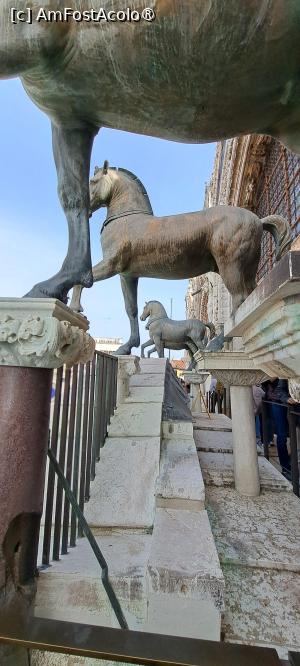 [P43] Bazilica San Marco, terasa Loggia dei Cavalli » foto by irinad
 - 
<span class="allrVoted glyphicon glyphicon-heart hidden" id="av1480133"></span>
<a class="m-l-10 hidden" id="sv1480133" onclick="voting_Foto_DelVot(,1480133,1229)" role="button">șterge vot <span class="glyphicon glyphicon-remove"></span></a>
<a id="v91480133" class=" c-red"  onclick="voting_Foto_SetVot(1480133)" role="button"><span class="glyphicon glyphicon-heart-empty"></span> <b>LIKE</b> = Votează poza</a> <img class="hidden"  id="f1480133W9" src="/imagini/loader.gif" border="0" /><span class="AjErrMes hidden" id="e1480133ErM"></span>