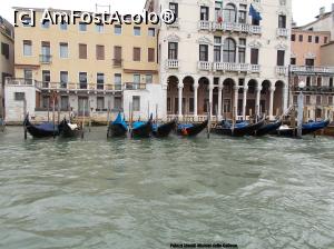 [P04] Veneția. Pe Canal Grande. Casa Colin- o construcție nouă și  <i>Palazzo Michiel delle Colone</i> » foto by mihaelavoicu
 - 
<span class="allrVoted glyphicon glyphicon-heart hidden" id="av1213327"></span>
<a class="m-l-10 hidden" id="sv1213327" onclick="voting_Foto_DelVot(,1213327,1229)" role="button">șterge vot <span class="glyphicon glyphicon-remove"></span></a>
<a id="v91213327" class=" c-red"  onclick="voting_Foto_SetVot(1213327)" role="button"><span class="glyphicon glyphicon-heart-empty"></span> <b>LIKE</b> = Votează poza</a> <img class="hidden"  id="f1213327W9" src="/imagini/loader.gif" border="0" /><span class="AjErrMes hidden" id="e1213327ErM"></span>