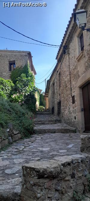 [P16] in interiorul castelului, pe stradute pietruite » foto by Yolanda
 - 
<span class="allrVoted glyphicon glyphicon-heart hidden" id="av1534137"></span>
<a class="m-l-10 hidden" id="sv1534137" onclick="voting_Foto_DelVot(,1534137,1270)" role="button">șterge vot <span class="glyphicon glyphicon-remove"></span></a>
<a id="v91534137" class=" c-red"  onclick="voting_Foto_SetVot(1534137)" role="button"><span class="glyphicon glyphicon-heart-empty"></span> <b>LIKE</b> = Votează poza</a> <img class="hidden"  id="f1534137W9" src="/imagini/loader.gif" border="0" /><span class="AjErrMes hidden" id="e1534137ErM"></span>