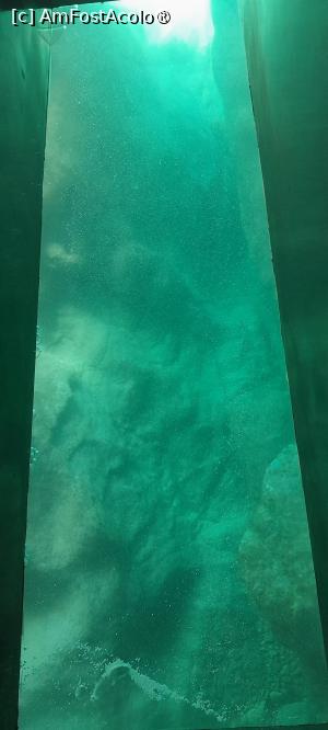 [P29] privim spre viata marina » foto by Yolanda
 - 
<span class="allrVoted glyphicon glyphicon-heart hidden" id="av1534150"></span>
<a class="m-l-10 hidden" id="sv1534150" onclick="voting_Foto_DelVot(,1534150,1270)" role="button">șterge vot <span class="glyphicon glyphicon-remove"></span></a>
<a id="v91534150" class=" c-red"  onclick="voting_Foto_SetVot(1534150)" role="button"><span class="glyphicon glyphicon-heart-empty"></span> <b>LIKE</b> = Votează poza</a> <img class="hidden"  id="f1534150W9" src="/imagini/loader.gif" border="0" /><span class="AjErrMes hidden" id="e1534150ErM"></span>