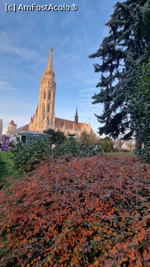 [P30] La pas prin Budapesta » foto by robert
 - 
<span class="allrVoted glyphicon glyphicon-heart hidden" id="av1508602"></span>
<a class="m-l-10 hidden" id="sv1508602" onclick="voting_Foto_DelVot(,1508602,1275)" role="button">șterge vot <span class="glyphicon glyphicon-remove"></span></a>
<a id="v91508602" class=" c-red"  onclick="voting_Foto_SetVot(1508602)" role="button"><span class="glyphicon glyphicon-heart-empty"></span> <b>LIKE</b> = Votează poza</a> <img class="hidden"  id="f1508602W9" src="/imagini/loader.gif" border="0" /><span class="AjErrMes hidden" id="e1508602ErM"></span>