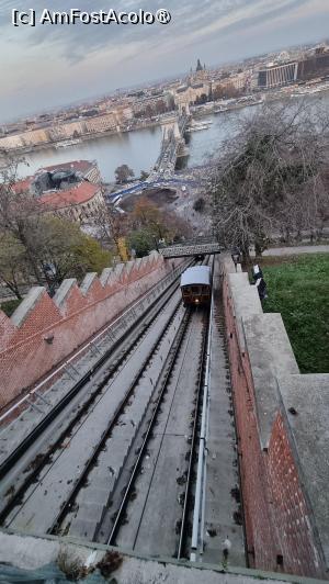 [P36] La pas prin Budapesta » foto by robert
 - 
<span class="allrVoted glyphicon glyphicon-heart hidden" id="av1508608"></span>
<a class="m-l-10 hidden" id="sv1508608" onclick="voting_Foto_DelVot(,1508608,1275)" role="button">șterge vot <span class="glyphicon glyphicon-remove"></span></a>
<a id="v91508608" class=" c-red"  onclick="voting_Foto_SetVot(1508608)" role="button"><span class="glyphicon glyphicon-heart-empty"></span> <b>LIKE</b> = Votează poza</a> <img class="hidden"  id="f1508608W9" src="/imagini/loader.gif" border="0" /><span class="AjErrMes hidden" id="e1508608ErM"></span>