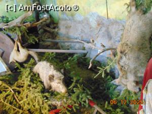 [P86] fortareata Visegrad » foto by Yolanda
 - 
<span class="allrVoted glyphicon glyphicon-heart hidden" id="av1512041"></span>
<a class="m-l-10 hidden" id="sv1512041" onclick="voting_Foto_DelVot(,1512041,1275)" role="button">șterge vot <span class="glyphicon glyphicon-remove"></span></a>
<a id="v91512041" class=" c-red"  onclick="voting_Foto_SetVot(1512041)" role="button"><span class="glyphicon glyphicon-heart-empty"></span> <b>LIKE</b> = Votează poza</a> <img class="hidden"  id="f1512041W9" src="/imagini/loader.gif" border="0" /><span class="AjErrMes hidden" id="e1512041ErM"></span>