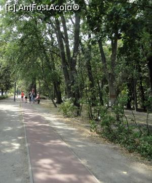 [P25] Pe insula sunt interzise mijloacele auto, astfel ca este amenajata cu piste pentru jogging si pentru biciclete, fiind una dintre locatiile principale alese de companiile care organizeaza tururi pe bicicleta in Budapesta. » foto by geani anto
 - 
<span class="allrVoted glyphicon glyphicon-heart hidden" id="av1328573"></span>
<a class="m-l-10 hidden" id="sv1328573" onclick="voting_Foto_DelVot(,1328573,1275)" role="button">șterge vot <span class="glyphicon glyphicon-remove"></span></a>
<a id="v91328573" class=" c-red"  onclick="voting_Foto_SetVot(1328573)" role="button"><span class="glyphicon glyphicon-heart-empty"></span> <b>LIKE</b> = Votează poza</a> <img class="hidden"  id="f1328573W9" src="/imagini/loader.gif" border="0" /><span class="AjErrMes hidden" id="e1328573ErM"></span>