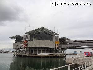 [P01] Oceanario de Lisboa » foto by Marian Preda
 - 
<span class="allrVoted glyphicon glyphicon-heart hidden" id="av480085"></span>
<a class="m-l-10 hidden" id="sv480085" onclick="voting_Foto_DelVot(,480085,1392)" role="button">șterge vot <span class="glyphicon glyphicon-remove"></span></a>
<a id="v9480085" class=" c-red"  onclick="voting_Foto_SetVot(480085)" role="button"><span class="glyphicon glyphicon-heart-empty"></span> <b>LIKE</b> = Votează poza</a> <img class="hidden"  id="f480085W9" src="/imagini/loader.gif" border="0" /><span class="AjErrMes hidden" id="e480085ErM"></span>