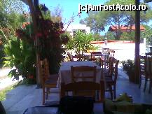 [P22] Taverna de la Karidi este curată, cochetă şi primitoare. » foto by Aqvila
 - 
<span class="allrVoted glyphicon glyphicon-heart hidden" id="av305918"></span>
<a class="m-l-10 hidden" id="sv305918" onclick="voting_Foto_DelVot(,305918,1423)" role="button">șterge vot <span class="glyphicon glyphicon-remove"></span></a>
<a id="v9305918" class=" c-red"  onclick="voting_Foto_SetVot(305918)" role="button"><span class="glyphicon glyphicon-heart-empty"></span> <b>LIKE</b> = Votează poza</a> <img class="hidden"  id="f305918W9" src="/imagini/loader.gif" border="0" /><span class="AjErrMes hidden" id="e305918ErM"></span>