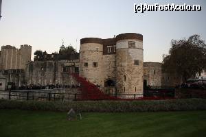 [P23] Poppy la Tower of London.  » foto by sophie_p
 - 
<span class="allrVoted glyphicon glyphicon-heart hidden" id="av584525"></span>
<a class="m-l-10 hidden" id="sv584525" onclick="voting_Foto_DelVot(,584525,1570)" role="button">șterge vot <span class="glyphicon glyphicon-remove"></span></a>
<a id="v9584525" class=" c-red"  onclick="voting_Foto_SetVot(584525)" role="button"><span class="glyphicon glyphicon-heart-empty"></span> <b>LIKE</b> = Votează poza</a> <img class="hidden"  id="f584525W9" src="/imagini/loader.gif" border="0" /><span class="AjErrMes hidden" id="e584525ErM"></span>