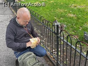 [P29] Veverițe foarte flămânde😀 » foto by Mika
 - 
<span class="allrVoted glyphicon glyphicon-heart hidden" id="av1488192"></span>
<a class="m-l-10 hidden" id="sv1488192" onclick="voting_Foto_DelVot(,1488192,1570)" role="button">șterge vot <span class="glyphicon glyphicon-remove"></span></a>
<a id="v91488192" class=" c-red"  onclick="voting_Foto_SetVot(1488192)" role="button"><span class="glyphicon glyphicon-heart-empty"></span> <b>LIKE</b> = Votează poza</a> <img class="hidden"  id="f1488192W9" src="/imagini/loader.gif" border="0" /><span class="AjErrMes hidden" id="e1488192ErM"></span>
