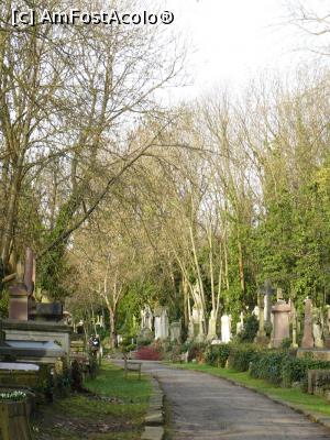 [P22] Highgate Cemetery » foto by Silvia30*
 - 
<span class="allrVoted glyphicon glyphicon-heart hidden" id="av730398"></span>
<a class="m-l-10 hidden" id="sv730398" onclick="voting_Foto_DelVot(,730398,1570)" role="button">șterge vot <span class="glyphicon glyphicon-remove"></span></a>
<a id="v9730398" class=" c-red"  onclick="voting_Foto_SetVot(730398)" role="button"><span class="glyphicon glyphicon-heart-empty"></span> <b>LIKE</b> = Votează poza</a> <img class="hidden"  id="f730398W9" src="/imagini/loader.gif" border="0" /><span class="AjErrMes hidden" id="e730398ErM"></span>