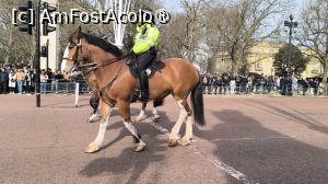 [P45] politia calare la Buckingham Palace » foto by mihaelab
 - 
<span class="allrVoted glyphicon glyphicon-heart hidden" id="av1522744"></span>
<a class="m-l-10 hidden" id="sv1522744" onclick="voting_Foto_DelVot(,1522744,1570)" role="button">șterge vot <span class="glyphicon glyphicon-remove"></span></a>
<a id="v91522744" class=" c-red"  onclick="voting_Foto_SetVot(1522744)" role="button"><span class="glyphicon glyphicon-heart-empty"></span> <b>LIKE</b> = Votează poza</a> <img class="hidden"  id="f1522744W9" src="/imagini/loader.gif" border="0" /><span class="AjErrMes hidden" id="e1522744ErM"></span>