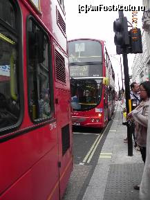 [P02] London Bus » foto by Liaa*
 - 
<span class="allrVoted glyphicon glyphicon-heart hidden" id="av220626"></span>
<a class="m-l-10 hidden" id="sv220626" onclick="voting_Foto_DelVot(,220626,1570)" role="button">șterge vot <span class="glyphicon glyphicon-remove"></span></a>
<a id="v9220626" class=" c-red"  onclick="voting_Foto_SetVot(220626)" role="button"><span class="glyphicon glyphicon-heart-empty"></span> <b>LIKE</b> = Votează poza</a> <img class="hidden"  id="f220626W9" src="/imagini/loader.gif" border="0" /><span class="AjErrMes hidden" id="e220626ErM"></span>