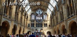 [P08] Natural History Museum » foto by Miseropia
 - 
<span class="allrVoted glyphicon glyphicon-heart hidden" id="av981167"></span>
<a class="m-l-10 hidden" id="sv981167" onclick="voting_Foto_DelVot(,981167,1570)" role="button">șterge vot <span class="glyphicon glyphicon-remove"></span></a>
<a id="v9981167" class=" c-red"  onclick="voting_Foto_SetVot(981167)" role="button"><span class="glyphicon glyphicon-heart-empty"></span> <b>LIKE</b> = Votează poza</a> <img class="hidden"  id="f981167W9" src="/imagini/loader.gif" border="0" /><span class="AjErrMes hidden" id="e981167ErM"></span>