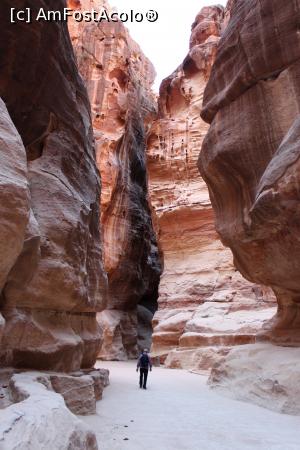 P27 [NOV-2017] Petra, Al Siq, Calea principală de acces în vechea capitală nabateeană, dimineața devreme neinvadat de turiști... 