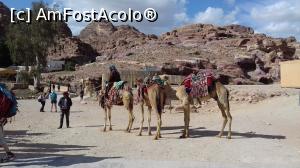 P09 [APR-2019] Mândrii beduini din Petra