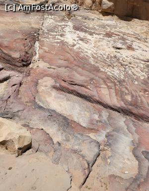[P02] Construita in inima desertului inalt, in canionul natural sapat in piatra moale, Petra a fost supranumita ,,Trandafirul rosu”, datorita culorii roz-rosie a pietrei, care prinde insa 11 nuante, de la galben-auriu pana la violet. » foto by geani anto
 - 
<span class="allrVoted glyphicon glyphicon-heart hidden" id="av1377989"></span>
<a class="m-l-10 hidden" id="sv1377989" onclick="voting_Foto_DelVot(,1377989,1615)" role="button">șterge vot <span class="glyphicon glyphicon-remove"></span></a>
<a id="v91377989" class=" c-red"  onclick="voting_Foto_SetVot(1377989)" role="button"><span class="glyphicon glyphicon-heart-empty"></span> <b>LIKE</b> = Votează poza</a> <img class="hidden"  id="f1377989W9" src="/imagini/loader.gif" border="0" /><span class="AjErrMes hidden" id="e1377989ErM"></span>