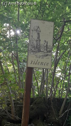 [P09] silence, silence... » foto by Yolanda
 - 
<span class="allrVoted glyphicon glyphicon-heart hidden" id="av1503558"></span>
<a class="m-l-10 hidden" id="sv1503558" onclick="voting_Foto_DelVot(,1503558,1628)" role="button">șterge vot <span class="glyphicon glyphicon-remove"></span></a>
<a id="v91503558" class=" c-red"  onclick="voting_Foto_SetVot(1503558)" role="button"><span class="glyphicon glyphicon-heart-empty"></span> <b>LIKE</b> = Votează poza</a> <img class="hidden"  id="f1503558W9" src="/imagini/loader.gif" border="0" /><span class="AjErrMes hidden" id="e1503558ErM"></span>