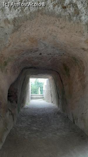 [P12] tunel sub gradene » foto by Yolanda
 - 
<span class="allrVoted glyphicon glyphicon-heart hidden" id="av1525653"></span>
<a class="m-l-10 hidden" id="sv1525653" onclick="voting_Foto_DelVot(,1525653,1628)" role="button">șterge vot <span class="glyphicon glyphicon-remove"></span></a>
<a id="v91525653" class=" c-red"  onclick="voting_Foto_SetVot(1525653)" role="button"><span class="glyphicon glyphicon-heart-empty"></span> <b>LIKE</b> = Votează poza</a> <img class="hidden"  id="f1525653W9" src="/imagini/loader.gif" border="0" /><span class="AjErrMes hidden" id="e1525653ErM"></span>