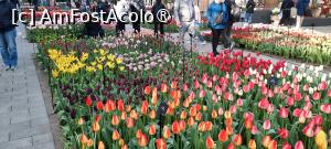 [P30] Keukenhof, Pavilionul Willem-Alexander, imens cu superbe lalele » foto by mprofeanu
 - 
<span class="allrVoted glyphicon glyphicon-heart hidden" id="av1479589"></span>
<a class="m-l-10 hidden" id="sv1479589" onclick="voting_Foto_DelVot(,1479589,1639)" role="button">șterge vot <span class="glyphicon glyphicon-remove"></span></a>
<a id="v91479589" class=" c-red"  onclick="voting_Foto_SetVot(1479589)" role="button"><span class="glyphicon glyphicon-heart-empty"></span> <b>LIKE</b> = Votează poza</a> <img class="hidden"  id="f1479589W9" src="/imagini/loader.gif" border="0" /><span class="AjErrMes hidden" id="e1479589ErM"></span>