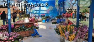 [P34] Keukenhof, Pavilionul Beatrix cu orhidee și anthurium » foto by mprofeanu
 - 
<span class="allrVoted glyphicon glyphicon-heart hidden" id="av1479593"></span>
<a class="m-l-10 hidden" id="sv1479593" onclick="voting_Foto_DelVot(,1479593,1639)" role="button">șterge vot <span class="glyphicon glyphicon-remove"></span></a>
<a id="v91479593" class=" c-red"  onclick="voting_Foto_SetVot(1479593)" role="button"><span class="glyphicon glyphicon-heart-empty"></span> <b>LIKE</b> = Votează poza</a> <img class="hidden"  id="f1479593W9" src="/imagini/loader.gif" border="0" /><span class="AjErrMes hidden" id="e1479593ErM"></span>