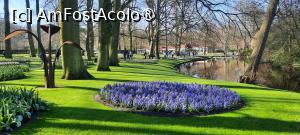[P35] Keukenhof, pe alei » foto by mprofeanu
 - 
<span class="allrVoted glyphicon glyphicon-heart hidden" id="av1479594"></span>
<a class="m-l-10 hidden" id="sv1479594" onclick="voting_Foto_DelVot(,1479594,1639)" role="button">șterge vot <span class="glyphicon glyphicon-remove"></span></a>
<a id="v91479594" class=" c-red"  onclick="voting_Foto_SetVot(1479594)" role="button"><span class="glyphicon glyphicon-heart-empty"></span> <b>LIKE</b> = Votează poza</a> <img class="hidden"  id="f1479594W9" src="/imagini/loader.gif" border="0" /><span class="AjErrMes hidden" id="e1479594ErM"></span>