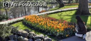 [P37] Keukenhof, pe alei » foto by mprofeanu
 - 
<span class="allrVoted glyphicon glyphicon-heart hidden" id="av1479596"></span>
<a class="m-l-10 hidden" id="sv1479596" onclick="voting_Foto_DelVot(,1479596,1639)" role="button">șterge vot <span class="glyphicon glyphicon-remove"></span></a>
<a id="v91479596" class=" c-red"  onclick="voting_Foto_SetVot(1479596)" role="button"><span class="glyphicon glyphicon-heart-empty"></span> <b>LIKE</b> = Votează poza</a> <img class="hidden"  id="f1479596W9" src="/imagini/loader.gif" border="0" /><span class="AjErrMes hidden" id="e1479596ErM"></span>