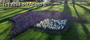[P39] Keukenhof, pe alei » foto by mprofeanu
 - 
<span class="allrVoted glyphicon glyphicon-heart hidden" id="av1479598"></span>
<a class="m-l-10 hidden" id="sv1479598" onclick="voting_Foto_DelVot(,1479598,1639)" role="button">șterge vot <span class="glyphicon glyphicon-remove"></span></a>
<a id="v91479598" class=" c-red"  onclick="voting_Foto_SetVot(1479598)" role="button"><span class="glyphicon glyphicon-heart-empty"></span> <b>LIKE</b> = Votează poza</a> <img class="hidden"  id="f1479598W9" src="/imagini/loader.gif" border="0" /><span class="AjErrMes hidden" id="e1479598ErM"></span>