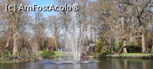 [P41] Keukenhof, frumos..... » foto by mprofeanu
 - 
<span class="allrVoted glyphicon glyphicon-heart hidden" id="av1479600"></span>
<a class="m-l-10 hidden" id="sv1479600" onclick="voting_Foto_DelVot(,1479600,1639)" role="button">șterge vot <span class="glyphicon glyphicon-remove"></span></a>
<a id="v91479600" class=" c-red"  onclick="voting_Foto_SetVot(1479600)" role="button"><span class="glyphicon glyphicon-heart-empty"></span> <b>LIKE</b> = Votează poza</a> <img class="hidden"  id="f1479600W9" src="/imagini/loader.gif" border="0" /><span class="AjErrMes hidden" id="e1479600ErM"></span>