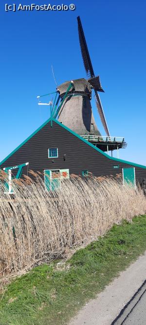 [P45] Zaanse Schans, Moara de vopsea „PISICA” - Verfmolen „De Kat, singura moară de vopsea din lume ce produce pigmenți prin zdrobirea cretei sau altor minerale » foto by mprofeanu
 - 
<span class="allrVoted glyphicon glyphicon-heart hidden" id="av1515100"></span>
<a class="m-l-10 hidden" id="sv1515100" onclick="voting_Foto_DelVot(,1515100,1639)" role="button">șterge vot <span class="glyphicon glyphicon-remove"></span></a>
<a id="v91515100" class=" c-red"  onclick="voting_Foto_SetVot(1515100)" role="button"><span class="glyphicon glyphicon-heart-empty"></span> <b>LIKE</b> = Votează poza</a> <img class="hidden"  id="f1515100W9" src="/imagini/loader.gif" border="0" /><span class="AjErrMes hidden" id="e1515100ErM"></span>