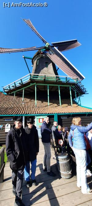 [P47] Zaanse Schans, Moara de vopsea „PISICA”, mergem spre Intrare » foto by mprofeanu
 - 
<span class="allrVoted glyphicon glyphicon-heart hidden" id="av1515102"></span>
<a class="m-l-10 hidden" id="sv1515102" onclick="voting_Foto_DelVot(,1515102,1639)" role="button">șterge vot <span class="glyphicon glyphicon-remove"></span></a>
<a id="v91515102" class=" c-red"  onclick="voting_Foto_SetVot(1515102)" role="button"><span class="glyphicon glyphicon-heart-empty"></span> <b>LIKE</b> = Votează poza</a> <img class="hidden"  id="f1515102W9" src="/imagini/loader.gif" border="0" /><span class="AjErrMes hidden" id="e1515102ErM"></span>