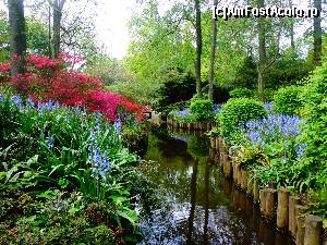 [P49] Keukenhof » foto by Ammelie
 - 
<span class="allrVoted glyphicon glyphicon-heart hidden" id="av623309"></span>
<a class="m-l-10 hidden" id="sv623309" onclick="voting_Foto_DelVot(,623309,1639)" role="button">șterge vot <span class="glyphicon glyphicon-remove"></span></a>
<a id="v9623309" class=" c-red"  onclick="voting_Foto_SetVot(623309)" role="button"><span class="glyphicon glyphicon-heart-empty"></span> <b>LIKE</b> = Votează poza</a> <img class="hidden"  id="f623309W9" src="/imagini/loader.gif" border="0" /><span class="AjErrMes hidden" id="e623309ErM"></span>