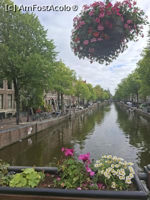 [P01] la pas prin Amsterdam » foto by robert
 - 
<span class="allrVoted glyphicon glyphicon-heart hidden" id="av1515265"></span>
<a class="m-l-10 hidden" id="sv1515265" onclick="voting_Foto_DelVot(,1515265,1639)" role="button">șterge vot <span class="glyphicon glyphicon-remove"></span></a>
<a id="v91515265" class=" c-red"  onclick="voting_Foto_SetVot(1515265)" role="button"><span class="glyphicon glyphicon-heart-empty"></span> <b>LIKE</b> = Votează poza</a> <img class="hidden"  id="f1515265W9" src="/imagini/loader.gif" border="0" /><span class="AjErrMes hidden" id="e1515265ErM"></span>