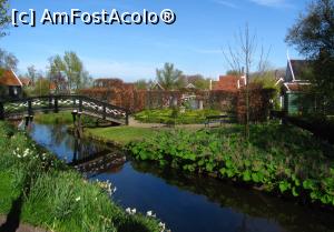 [P26] Zaanse Schans » foto by Radu Tudoran
 - 
<span class="allrVoted glyphicon glyphicon-heart hidden" id="av744886"></span>
<a class="m-l-10 hidden" id="sv744886" onclick="voting_Foto_DelVot(,744886,1639)" role="button">șterge vot <span class="glyphicon glyphicon-remove"></span></a>
<a id="v9744886" class=" c-red"  onclick="voting_Foto_SetVot(744886)" role="button"><span class="glyphicon glyphicon-heart-empty"></span> <b>LIKE</b> = Votează poza</a> <img class="hidden"  id="f744886W9" src="/imagini/loader.gif" border="0" /><span class="AjErrMes hidden" id="e744886ErM"></span>