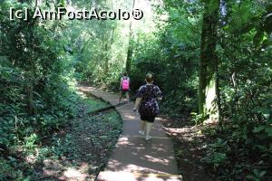 [P46] Puerto de Iguazu, Parque Nacional Iguazu, Turul Gran Aventura, Coborând pe scări la docul de îmbarcare, pe ultima parte se coboară zdravăn...  » foto by mprofeanu
 - 
<span class="allrVoted glyphicon glyphicon-heart hidden" id="av1155734"></span>
<a class="m-l-10 hidden" id="sv1155734" onclick="voting_Foto_DelVot(,1155734,1653)" role="button">șterge vot <span class="glyphicon glyphicon-remove"></span></a>
<a id="v91155734" class=" c-red"  onclick="voting_Foto_SetVot(1155734)" role="button"><span class="glyphicon glyphicon-heart-empty"></span> <b>LIKE</b> = Votează poza</a> <img class="hidden"  id="f1155734W9" src="/imagini/loader.gif" border="0" /><span class="AjErrMes hidden" id="e1155734ErM"></span>