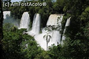 [P62] Puerto de Iguazu, Parque Nacional Iguazu, Cataratas, Circuitul Superior, De la stânga la dreapta, Cascadele Adam și Eva, apoi cea mare Cascada Bossetti » foto by mprofeanu
 - 
<span class="allrVoted glyphicon glyphicon-heart hidden" id="av1155750"></span>
<a class="m-l-10 hidden" id="sv1155750" onclick="voting_Foto_DelVot(,1155750,1653)" role="button">șterge vot <span class="glyphicon glyphicon-remove"></span></a>
<a id="v91155750" class=" c-red"  onclick="voting_Foto_SetVot(1155750)" role="button"><span class="glyphicon glyphicon-heart-empty"></span> <b>LIKE</b> = Votează poza</a> <img class="hidden"  id="f1155750W9" src="/imagini/loader.gif" border="0" /><span class="AjErrMes hidden" id="e1155750ErM"></span>