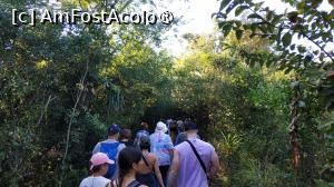 [P16] Iguazu - partea argentiniană » foto by elenaadina
 - 
<span class="allrVoted glyphicon glyphicon-heart hidden" id="av1517710"></span>
<a class="m-l-10 hidden" id="sv1517710" onclick="voting_Foto_DelVot(,1517710,1653)" role="button">șterge vot <span class="glyphicon glyphicon-remove"></span></a>
<a id="v91517710" class=" c-red"  onclick="voting_Foto_SetVot(1517710)" role="button"><span class="glyphicon glyphicon-heart-empty"></span> <b>LIKE</b> = Votează poza</a> <img class="hidden"  id="f1517710W9" src="/imagini/loader.gif" border="0" /><span class="AjErrMes hidden" id="e1517710ErM"></span>