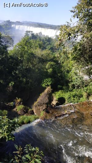 [P30]  -- <small>// FĂRĂ DESCRIERE</small> » foto by elenaadina
 - 
<span class="allrVoted glyphicon glyphicon-heart hidden" id="av1517724"></span>
<a class="m-l-10 hidden" id="sv1517724" onclick="voting_Foto_DelVot(,1517724,1653)" role="button">șterge vot <span class="glyphicon glyphicon-remove"></span></a>
<a id="v91517724" class=" c-red"  onclick="voting_Foto_SetVot(1517724)" role="button"><span class="glyphicon glyphicon-heart-empty"></span> <b>LIKE</b> = Votează poza</a> <img class="hidden"  id="f1517724W9" src="/imagini/loader.gif" border="0" /><span class="AjErrMes hidden" id="e1517724ErM"></span>