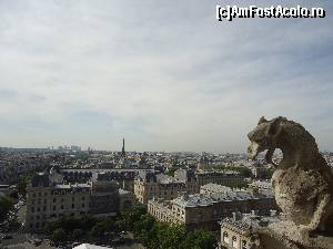 P10 [MAY-2014] Priveliste din turnurile Catedralei Notre-Dame, Paris