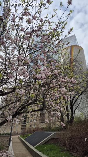 [P02] Paris - La Defense » foto by ANILU
 - 
<span class="allrVoted glyphicon glyphicon-heart hidden" id="av1521123"></span>
<a class="m-l-10 hidden" id="sv1521123" onclick="voting_Foto_DelVot(,1521123,1684)" role="button">șterge vot <span class="glyphicon glyphicon-remove"></span></a>
<a id="v91521123" class=" c-red"  onclick="voting_Foto_SetVot(1521123)" role="button"><span class="glyphicon glyphicon-heart-empty"></span> <b>LIKE</b> = Votează poza</a> <img class="hidden"  id="f1521123W9" src="/imagini/loader.gif" border="0" /><span class="AjErrMes hidden" id="e1521123ErM"></span>