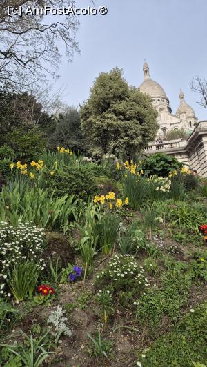 [P32] Paris - primavara » foto by ANILU
 - 
<span class="allrVoted glyphicon glyphicon-heart hidden" id="av1521153"></span>
<a class="m-l-10 hidden" id="sv1521153" onclick="voting_Foto_DelVot(,1521153,1684)" role="button">șterge vot <span class="glyphicon glyphicon-remove"></span></a>
<a id="v91521153" class=" c-red"  onclick="voting_Foto_SetVot(1521153)" role="button"><span class="glyphicon glyphicon-heart-empty"></span> <b>LIKE</b> = Votează poza</a> <img class="hidden"  id="f1521153W9" src="/imagini/loader.gif" border="0" /><span class="AjErrMes hidden" id="e1521153ErM"></span>