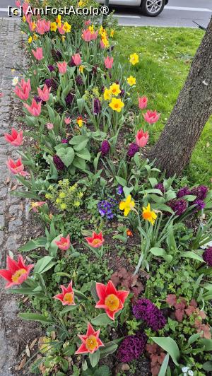 [P55] Paris - flori de primăvară » foto by ANILU
 - 
<span class="allrVoted glyphicon glyphicon-heart hidden" id="av1521176"></span>
<a class="m-l-10 hidden" id="sv1521176" onclick="voting_Foto_DelVot(,1521176,1684)" role="button">șterge vot <span class="glyphicon glyphicon-remove"></span></a>
<a id="v91521176" class=" c-red"  onclick="voting_Foto_SetVot(1521176)" role="button"><span class="glyphicon glyphicon-heart-empty"></span> <b>LIKE</b> = Votează poza</a> <img class="hidden"  id="f1521176W9" src="/imagini/loader.gif" border="0" /><span class="AjErrMes hidden" id="e1521176ErM"></span>