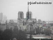 [P09] catedrala notre dame-vedere din spate » foto by cosminp
 - 
<span class="allrVoted glyphicon glyphicon-heart hidden" id="av39457"></span>
<a class="m-l-10 hidden" id="sv39457" onclick="voting_Foto_DelVot(,39457,1684)" role="button">șterge vot <span class="glyphicon glyphicon-remove"></span></a>
<a id="v939457" class=" c-red"  onclick="voting_Foto_SetVot(39457)" role="button"><span class="glyphicon glyphicon-heart-empty"></span> <b>LIKE</b> = Votează poza</a> <img class="hidden"  id="f39457W9" src="/imagini/loader.gif" border="0" /><span class="AjErrMes hidden" id="e39457ErM"></span>