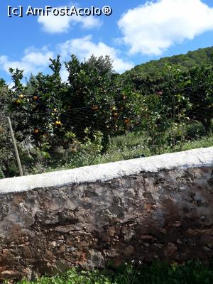 [P04] In drumul nostru livada de portocali » foto by adrianbogdan
 - 
<span class="allrVoted glyphicon glyphicon-heart hidden" id="av1033839"></span>
<a class="m-l-10 hidden" id="sv1033839" onclick="voting_Foto_DelVot(,1033839,1738)" role="button">șterge vot <span class="glyphicon glyphicon-remove"></span></a>
<a id="v91033839" class=" c-red"  onclick="voting_Foto_SetVot(1033839)" role="button"><span class="glyphicon glyphicon-heart-empty"></span> <b>LIKE</b> = Votează poza</a> <img class="hidden"  id="f1033839W9" src="/imagini/loader.gif" border="0" /><span class="AjErrMes hidden" id="e1033839ErM"></span>