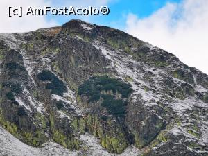 [P39] Transalpina cu o zi înăinte de închidere » foto by pepsi70ro
 - 
<span class="allrVoted glyphicon glyphicon-heart hidden" id="av1197960"></span>
<a class="m-l-10 hidden" id="sv1197960" onclick="voting_Foto_DelVot(,1197960,1755)" role="button">șterge vot <span class="glyphicon glyphicon-remove"></span></a>
<a id="v91197960" class=" c-red"  onclick="voting_Foto_SetVot(1197960)" role="button"><span class="glyphicon glyphicon-heart-empty"></span> <b>LIKE</b> = Votează poza</a> <img class="hidden"  id="f1197960W9" src="/imagini/loader.gif" border="0" /><span class="AjErrMes hidden" id="e1197960ErM"></span>